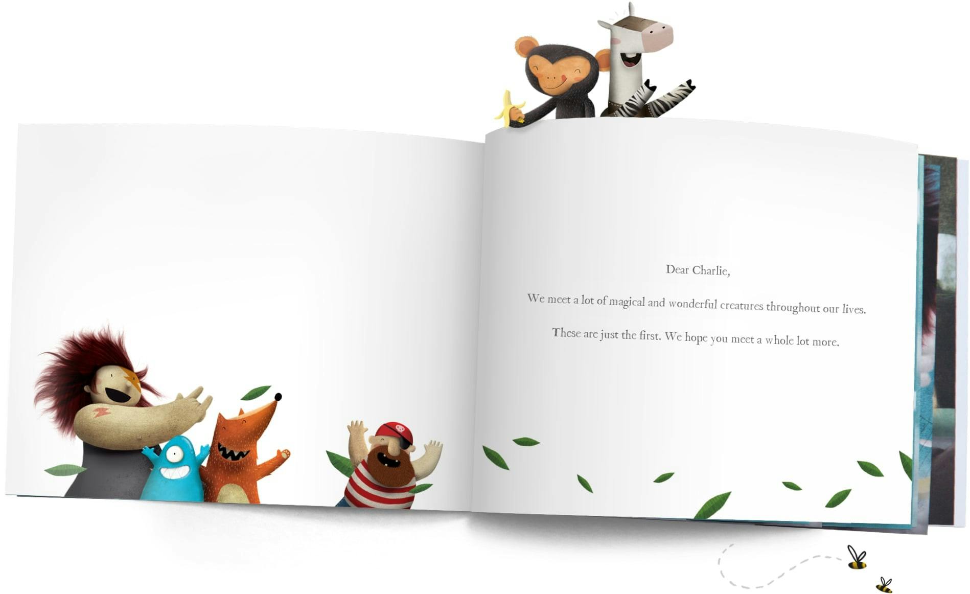 Lost My Name - Product Description about the personalised dedication message you can give your child